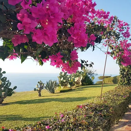 Blue Diamond * 파르겔리아