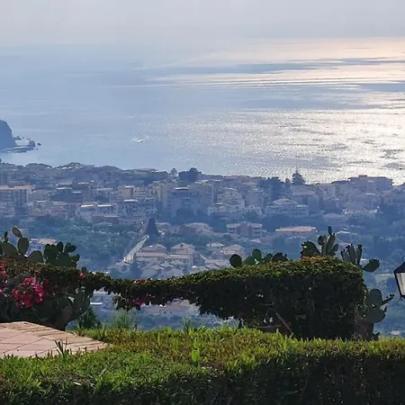 Blue Diamond * 파르겔리아