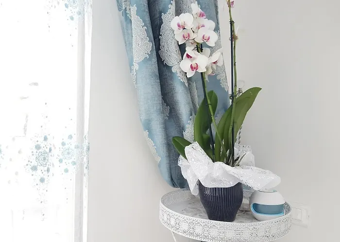 アパート Blue Diamond パルゲリーア